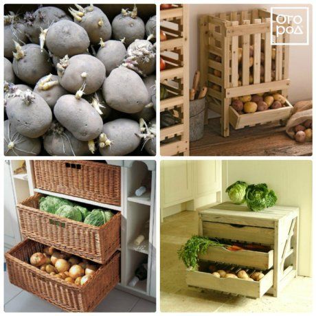 Особенности хранения картофеля в овощехранилищах
